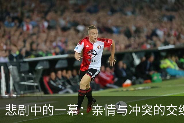 悲剧中的一幕：亲情与冲突的交织